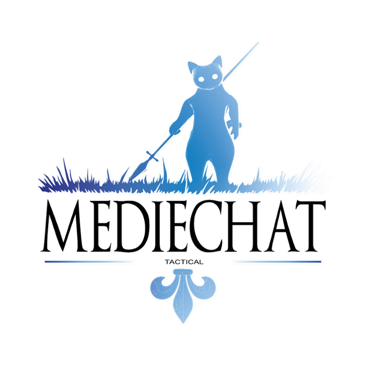 Games like MedieChat