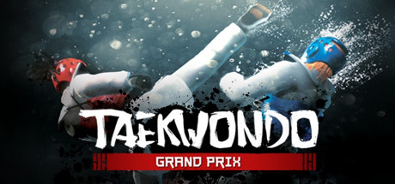 Taekwondo Grand Prix Game Cover