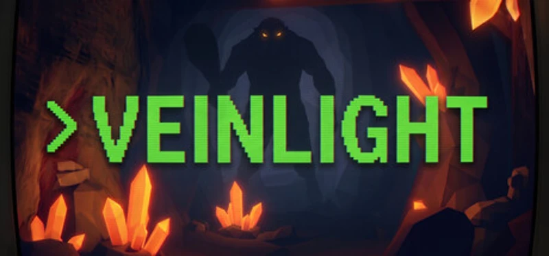 VeinLight Image