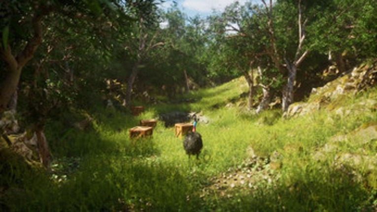 Crashowary Image