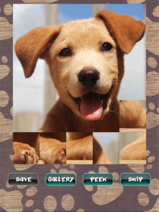 Cute Puppies Puzzle Image