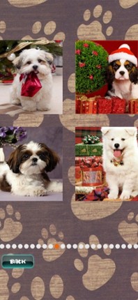 Cute Puppies Puzzle Image