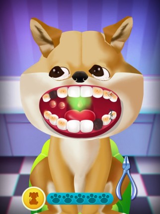 Doggy rocket care screenshot