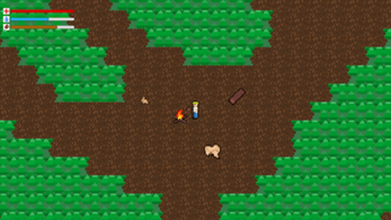 The Mysterious Grove Image