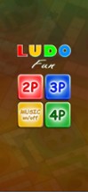 Ludo Fun Image