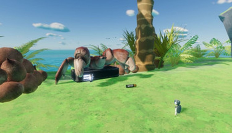 Shelter Image