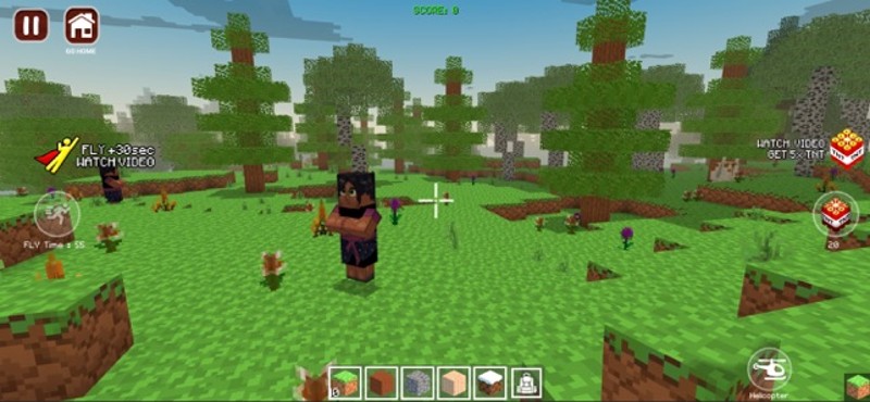 World Craft Dream Island screenshot