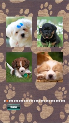 Cute Puppies Puzzle Image