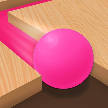 Maze Ball Paint Puzzle Image