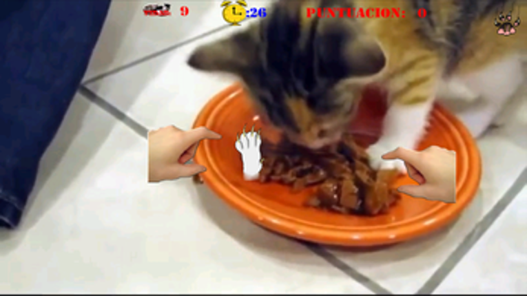 Gatos Locos Image
