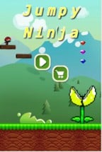 Jumpy Ninja Image