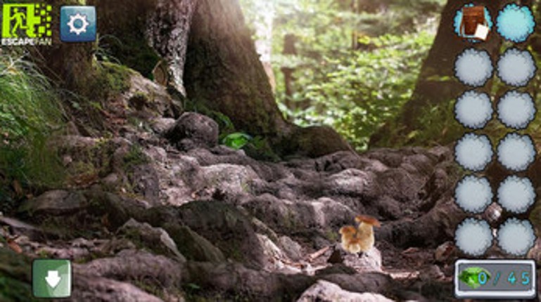 Mystic Sunset Forest screenshot
