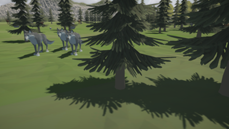 Nature Live Image