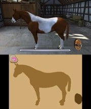 I Love my Horse Image