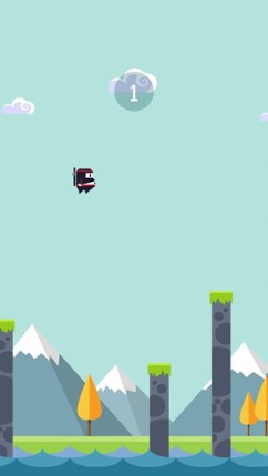 Spring Ninja Image