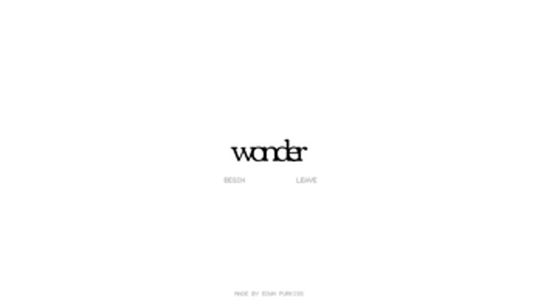 wonder Image