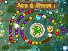 Zumba Jungle Marble Master Image