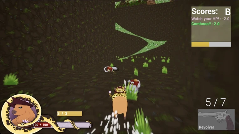 Cappy-Barrage Image