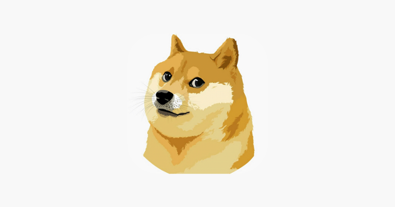 Doggy rocket care Image