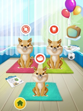 Doggy rocket care screenshot
