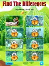 Find and Spot The Differences Photo Zoo Animals Image