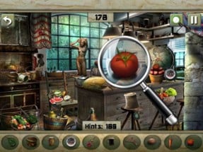 Hidden Objects:The Princess Wish Image