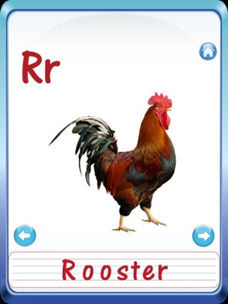 Kids safari jungle wild animals zoo &amp; birds flashcards for preschool kindergarten baby screenshot