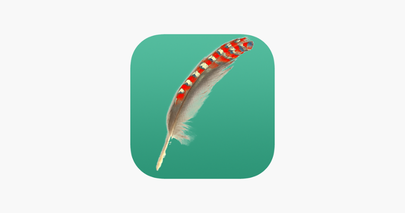 SENED BirdWorld Image