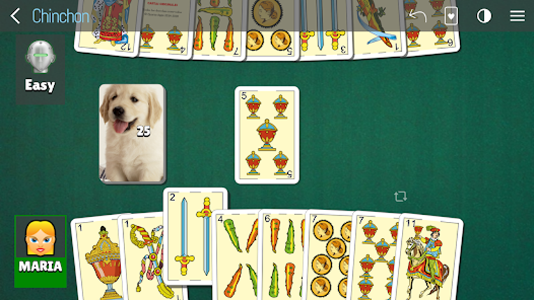 Chinchon - Spanish card game screenshot