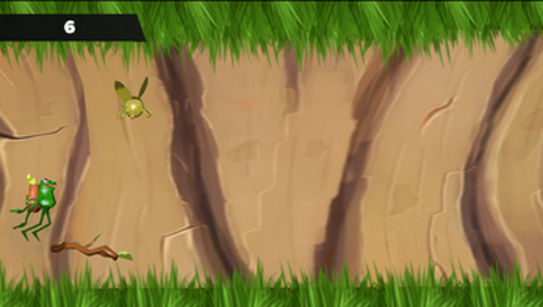 forest frog Image