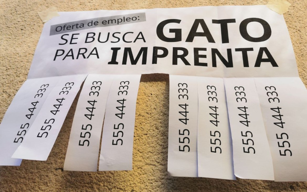 Games like Se busca GATO para IMPRENTA