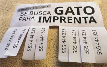 Se busca GATO para IMPRENTA Image