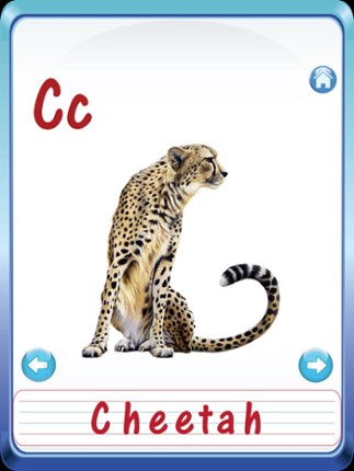 Kids safari jungle wild animals zoo &amp; birds flashcards for preschool kindergarten baby screenshot