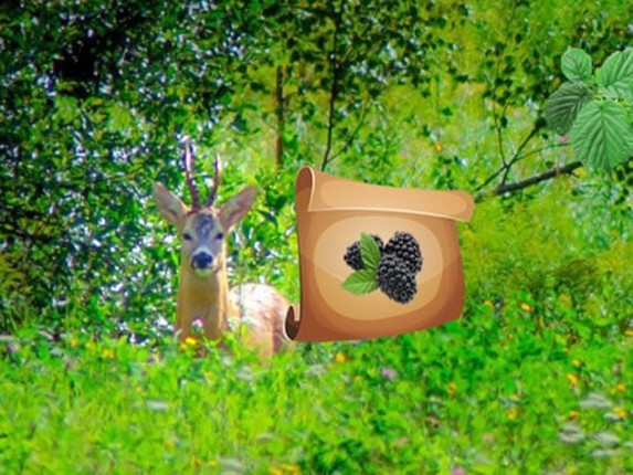 Return To Alsunga Forest Image