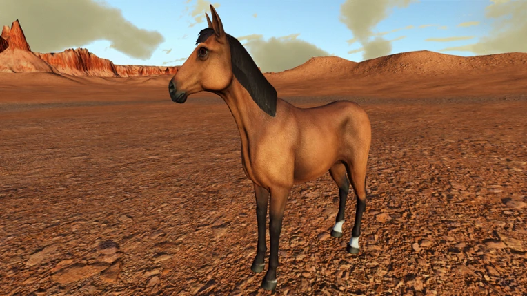 Wild West Canyon screenshot