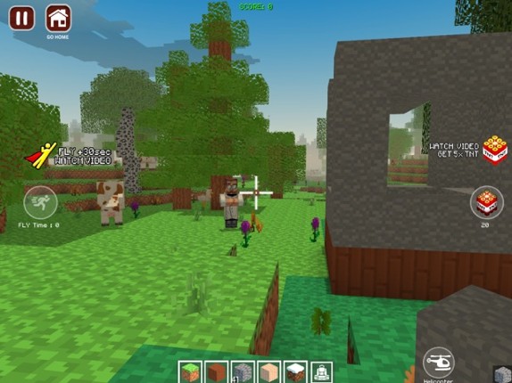 World Craft Dream Island Image