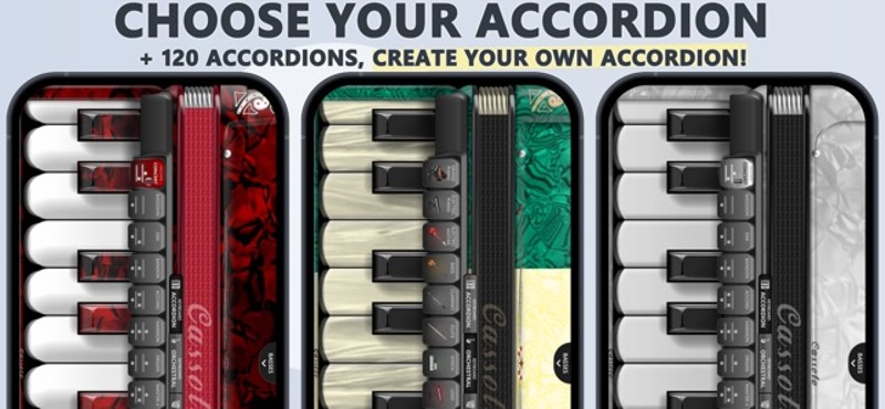 Accordion Piano Cassoto Image