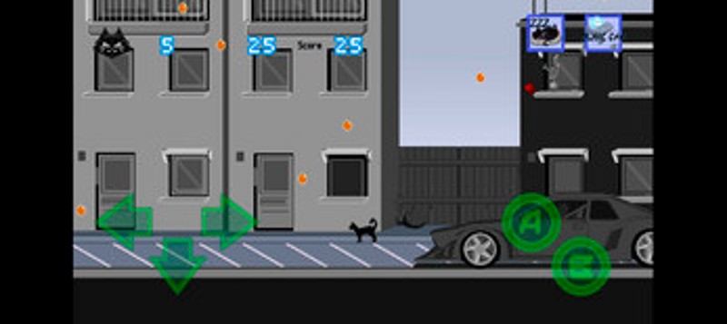 Cat Black Image