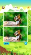 Find and Spot The Differences Photo Zoo Animals Image