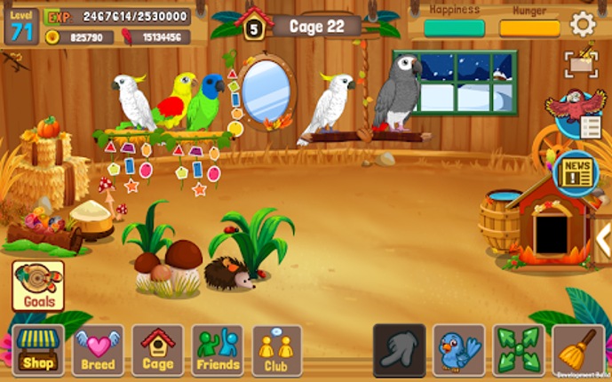 Bird Land: Pet Shop Bird Games screenshot