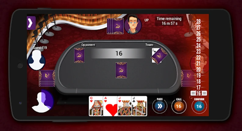 29 Card screenshot