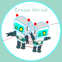 Cross Wired Image