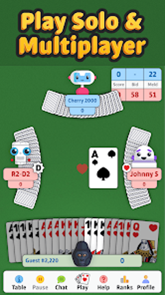 Double Deck Pinochle ‣ screenshot