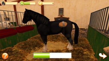 Horse World Image