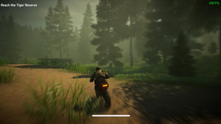 Tranquil Eyes Image