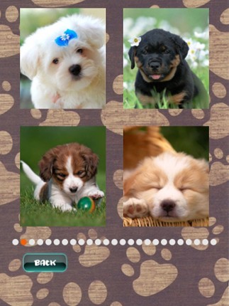 Cute Puppies Puzzle screenshot