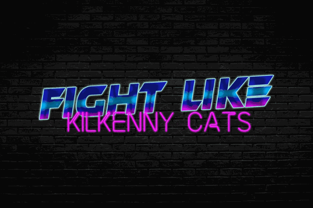 Fight Like Kilkenny Cats Game Cover