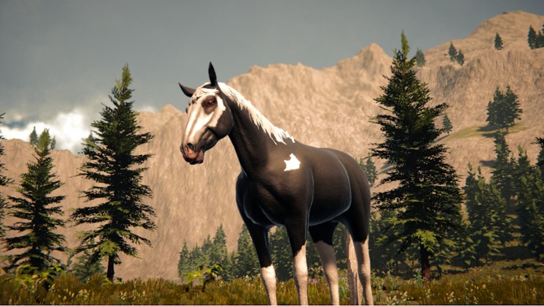 Galloping Dream Image