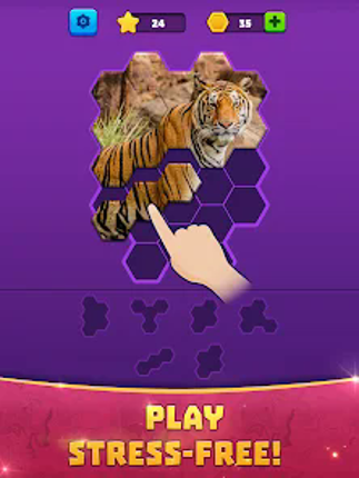 Hex Block Jigsaw Puzzle Image