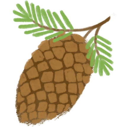 Acorn Quest Image